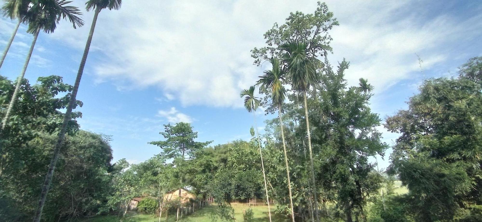 Hotel Kaziranga Holidays Buitenkant foto